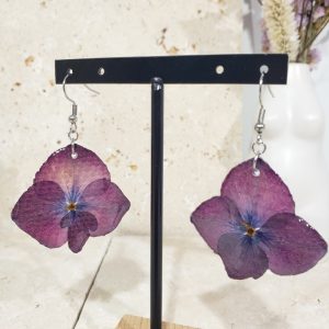 Hortensia (grande)