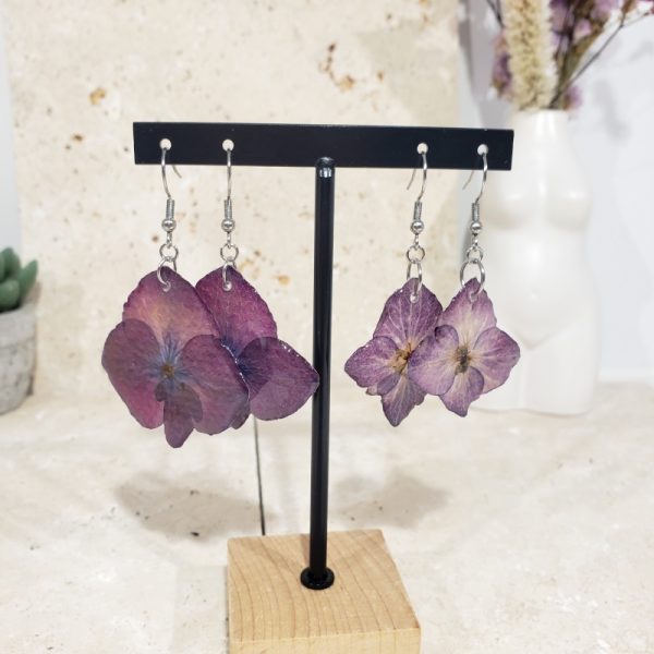 Hortensia (grande) - Image 3