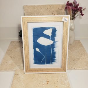 cyanotype Coquelicots