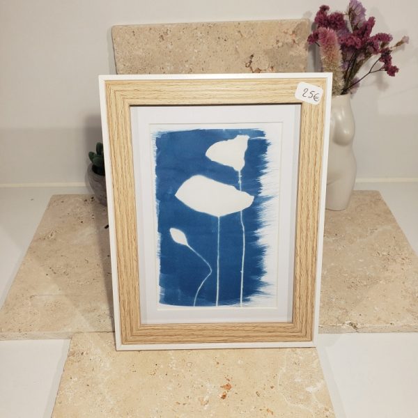 cyanotype Coquelicots