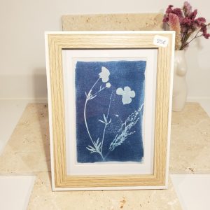 cyanotype en cadre