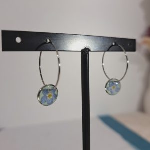 petites créoles Myosotis