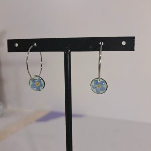 petites créoles Myosotis