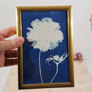 petit cadre fleur